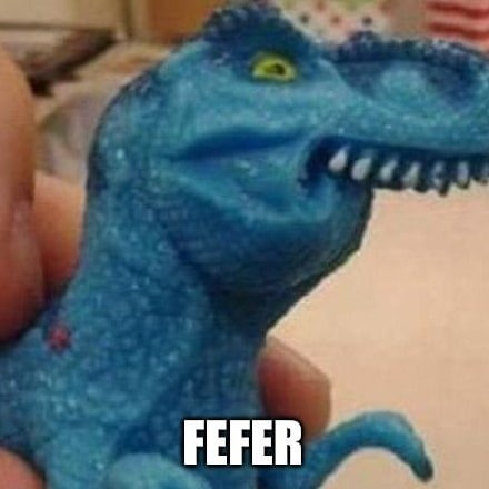 FEFER Logo
